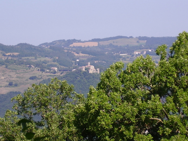 Castello di Biscina visto dal Monte della Dea