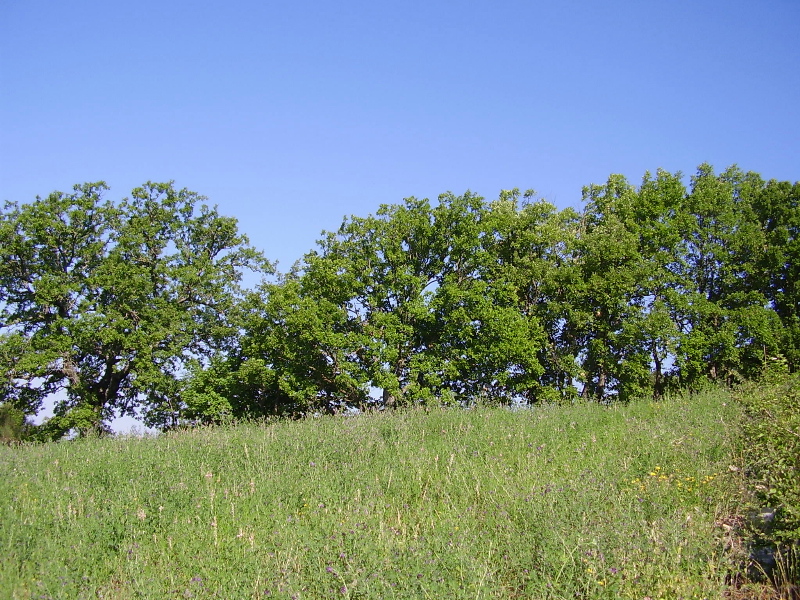 Natura intorno all'Agriturismo Dea