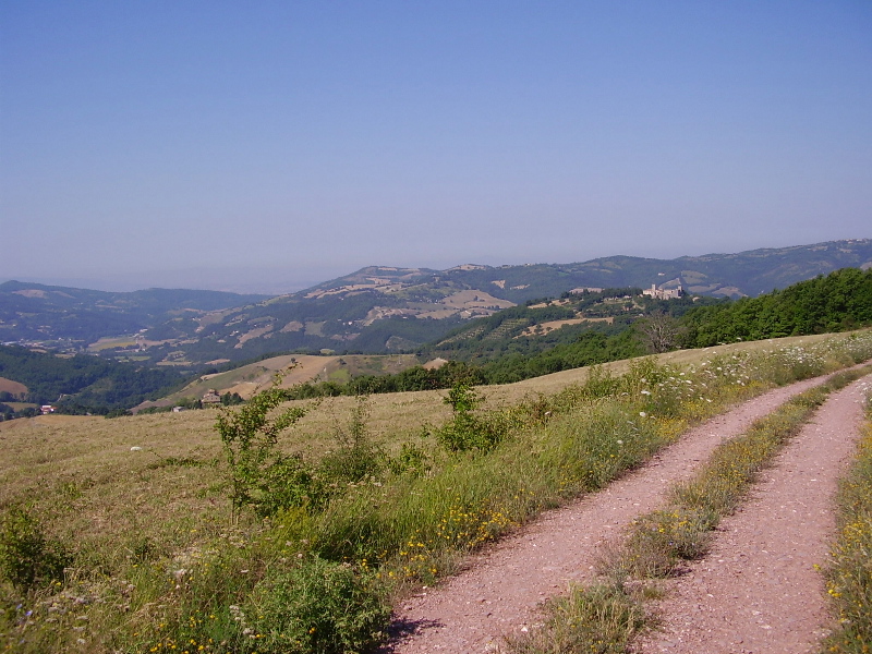 sentiero che sale al Monte della Dea