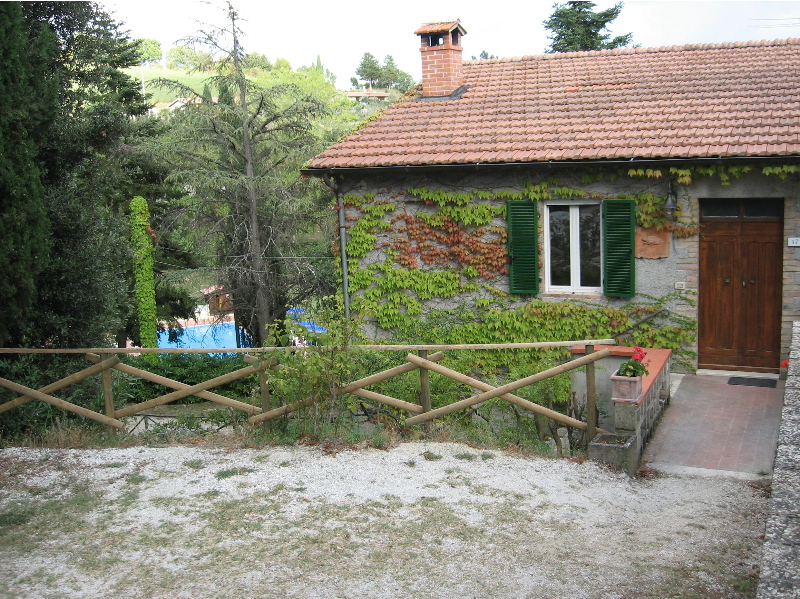 Cicala