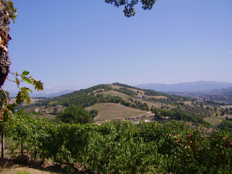 Monte della Dea visto da Giomici