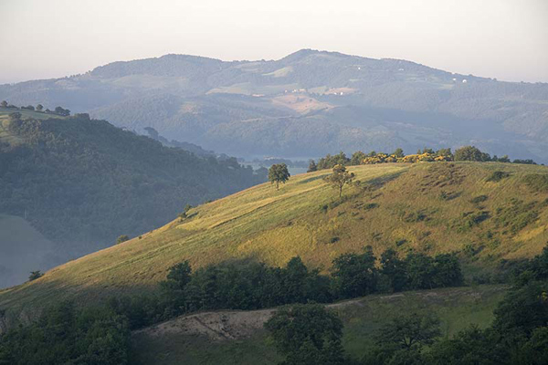 view from the farmhouse dea. photo offered by our friend and client Tom Camara