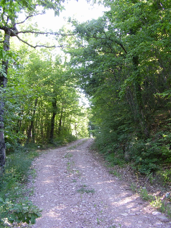 Sentiero che sale al Monte della Dea