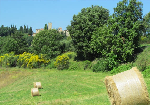 La campagna circostante