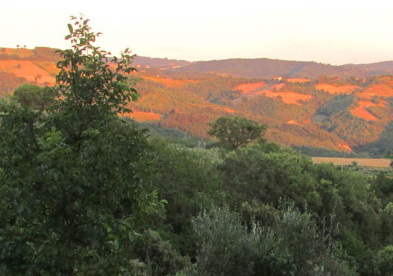 Tramonti suggestivi