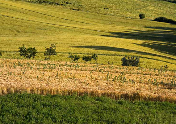 La campagna circostante
